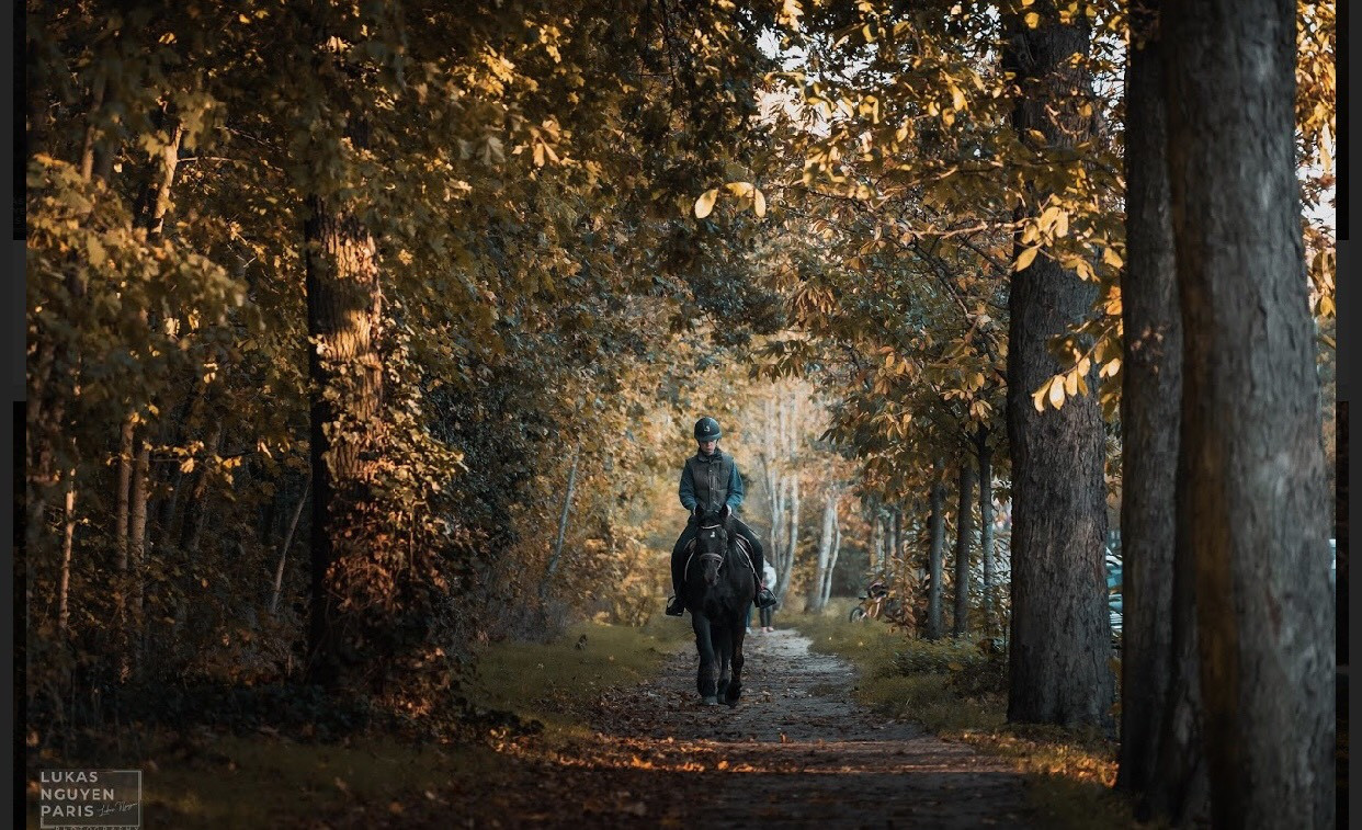 Bạn đã bao giờ nghe tới “Tour du lịch 1 giờ đồng hồ” tại Paris? ảnh 2