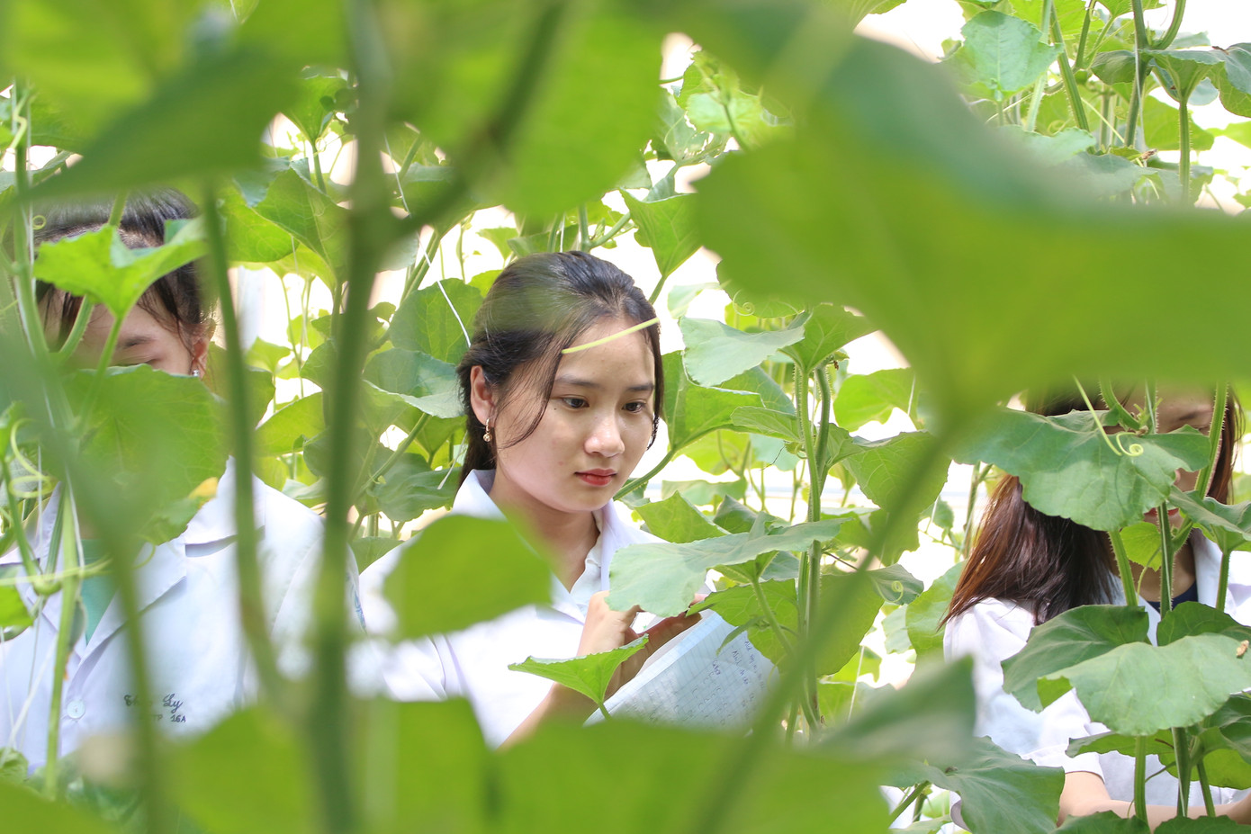 Trường Đại học Sư phạm kỹ thuật Vĩnh Long: Tự hào quá khứ, kiến tạo tương lai ảnh 9