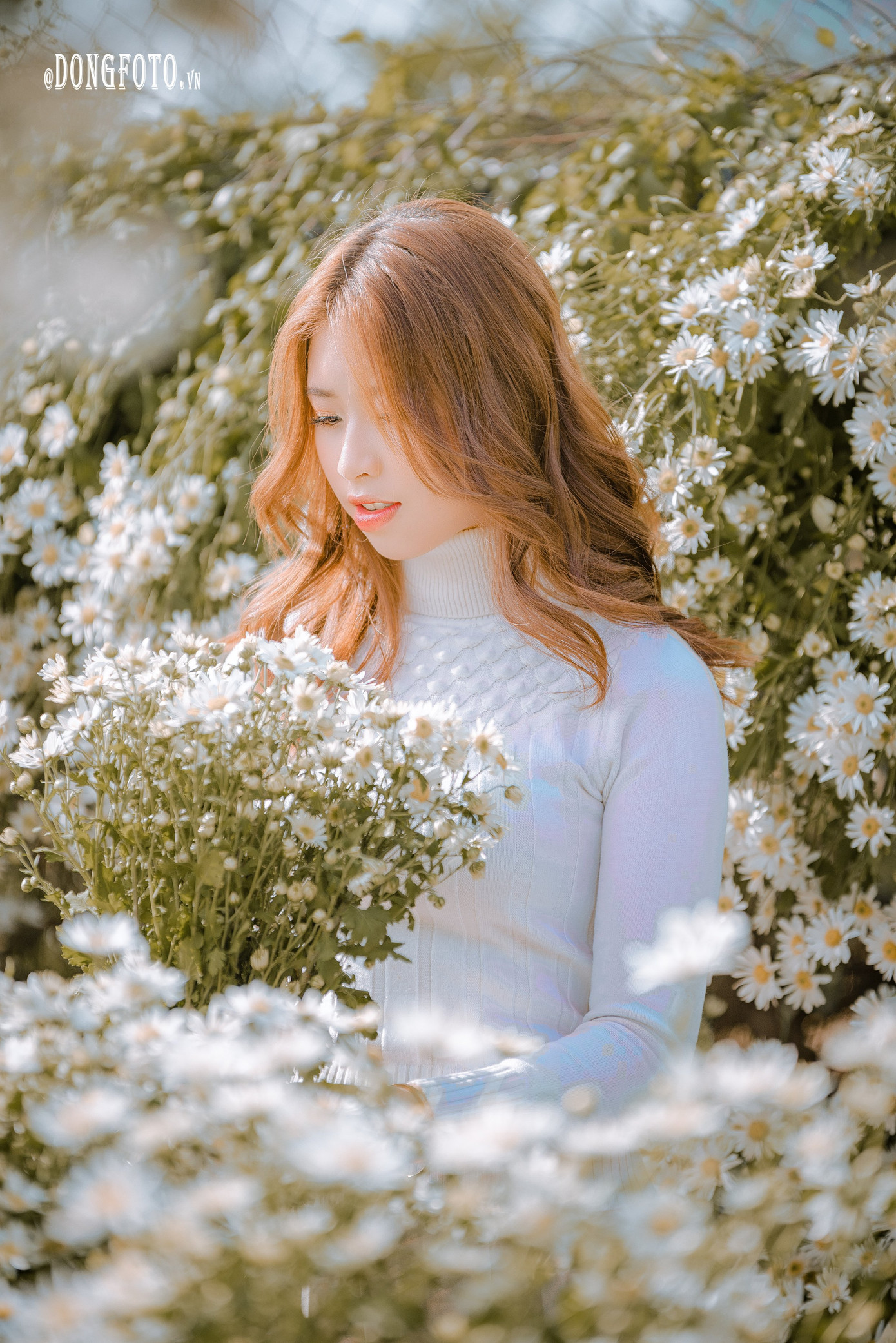 Ngẩn ngơ nét đẹp “nàng thơ” trong bộ ảnh cúc họa mi trắng ảnh 6