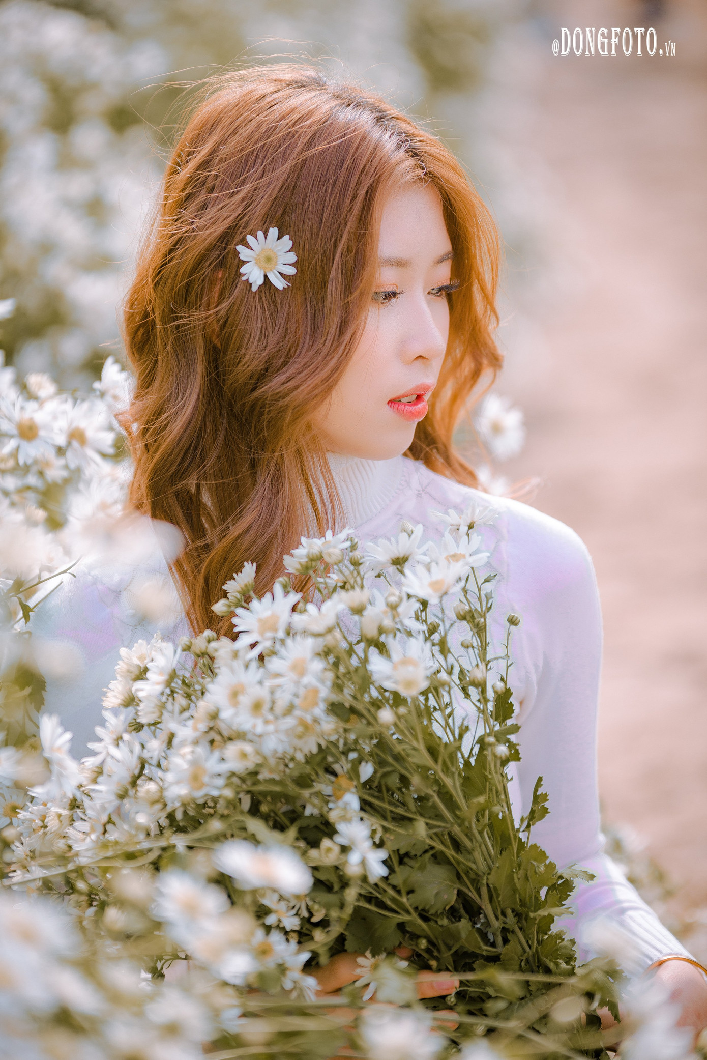 Ngẩn ngơ nét đẹp “nàng thơ” trong bộ ảnh cúc họa mi trắng ảnh 2