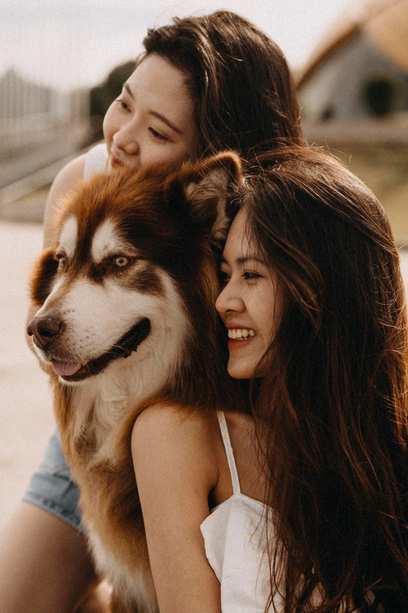 Cần gì người yêu khi chúng mình đã có nhau ảnh 11