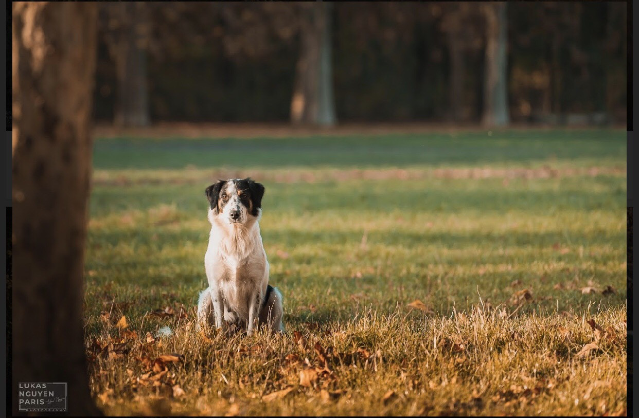 Bạn đã bao giờ nghe tới “Tour du lịch 1 giờ đồng hồ” tại Paris? ảnh 3