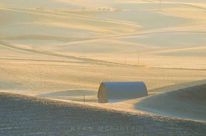 Ngắm vùng đất có những thảm cỏ đa sắc màu đẹp hơn tranh sơn mài ảnh 7