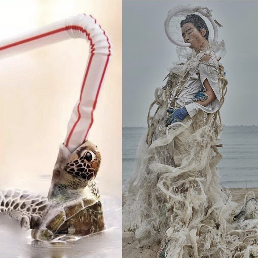 Biến rác thải thành thời trang, tái hiện nỗi đau trước khi chết của sinh vật biển ảnh 7