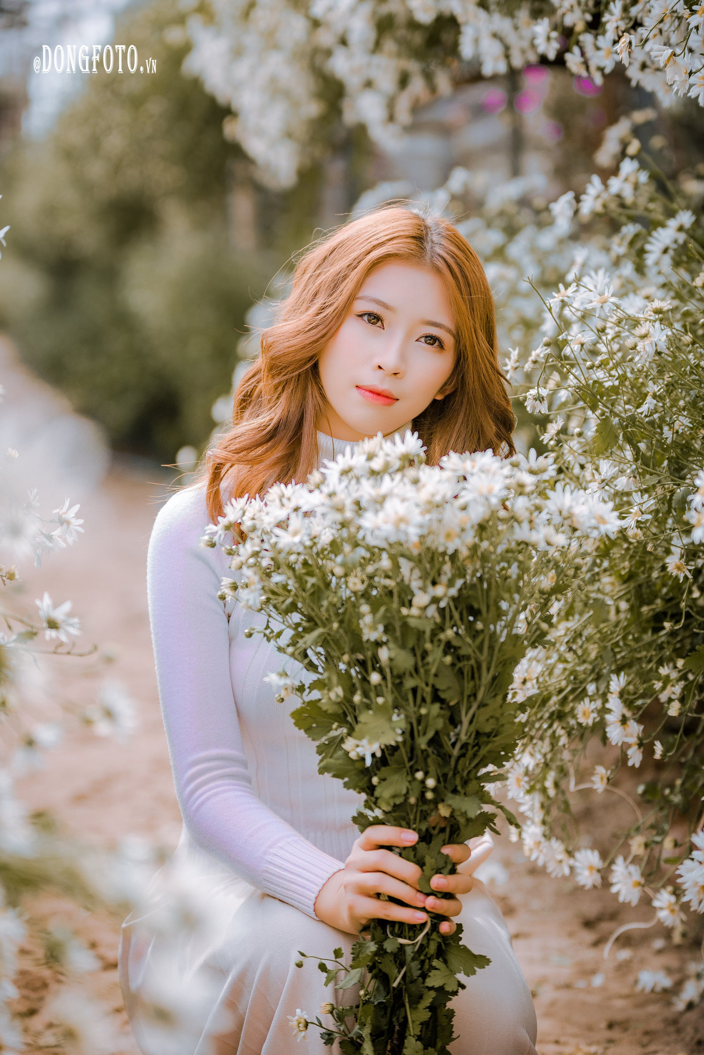 Ngẩn ngơ nét đẹp “nàng thơ” trong bộ ảnh cúc họa mi trắng ảnh 9