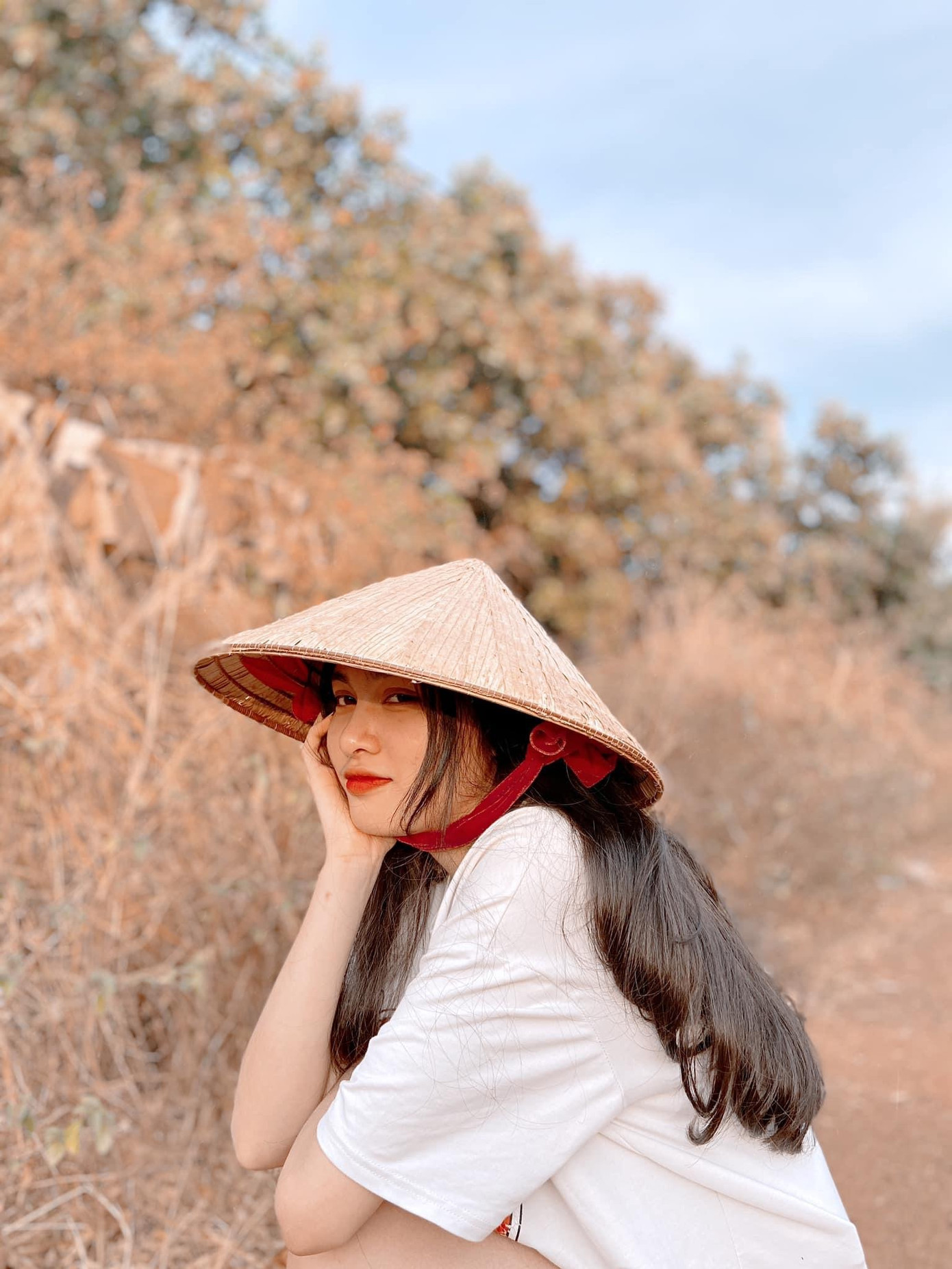 Ở Gia Lai có đi học bằng voi không? ảnh 4