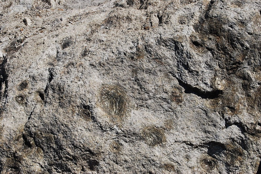 Thăm vùng đất những hòn đá biết sinh nở ảnh 3