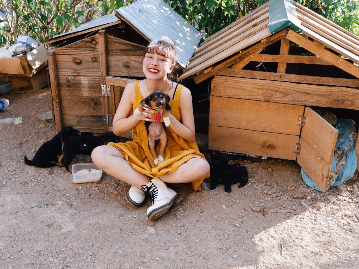 Cô sinh viên khoa Luật đam mê dẫn chương trình ảnh 6