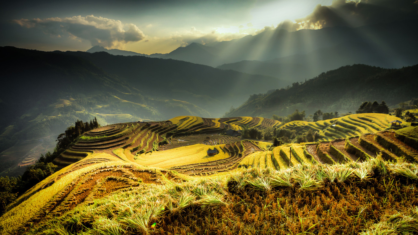 Khởi động cuộc thi ảnh “Góc nhìn trẻ” ảnh 1