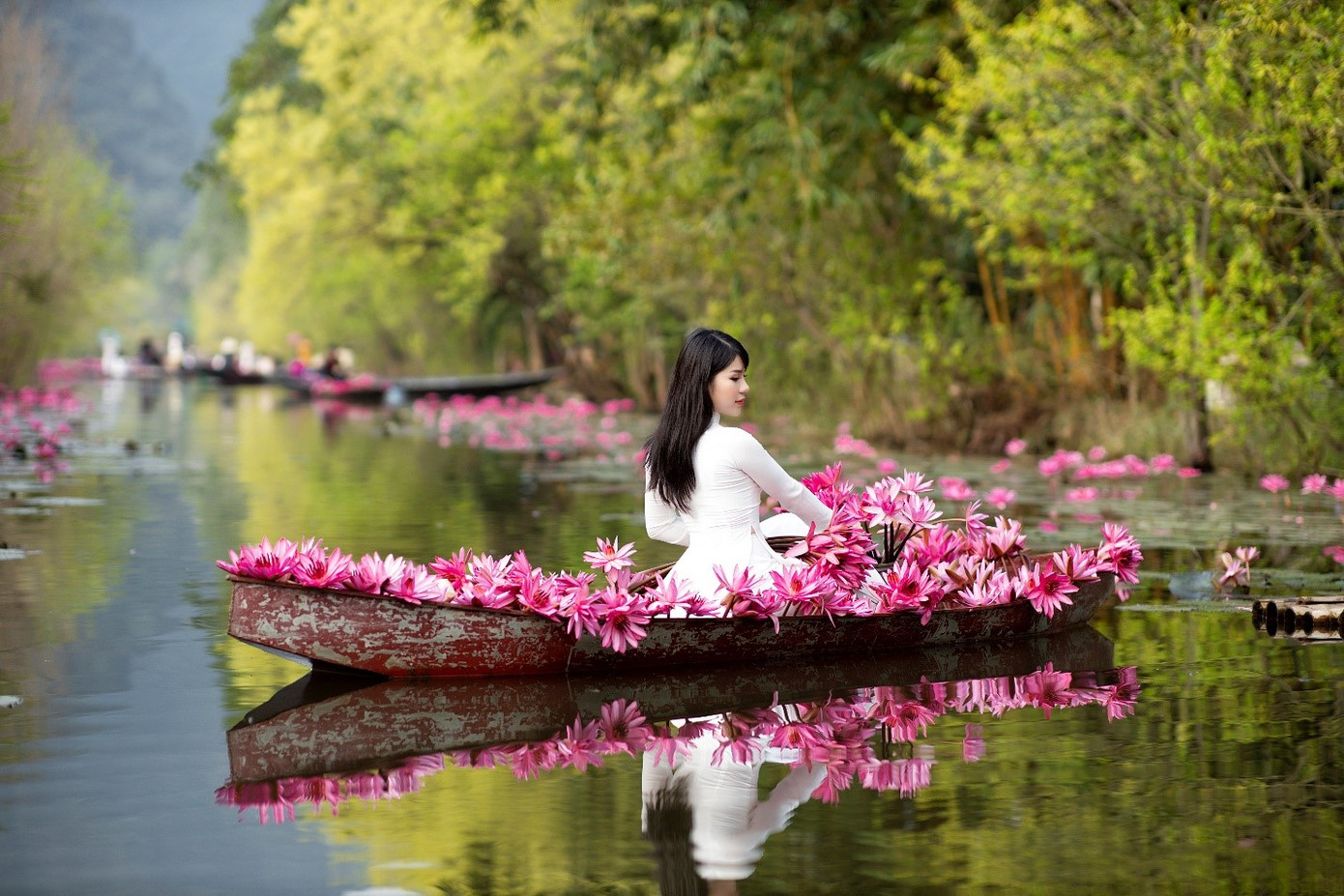 Nàng thơ 9X ‘gieo thương nhớ’ với nét đẹp dịu dàng bên hoa súng ảnh 3