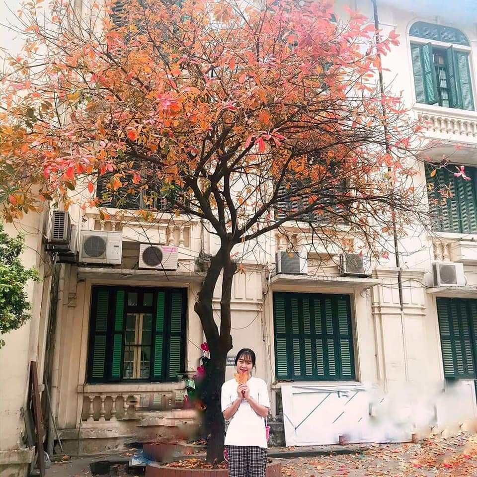 Học viện Phụ nữ Việt Nam – Ngôi trường với bề dày 60 năm truyền thống! ảnh 29