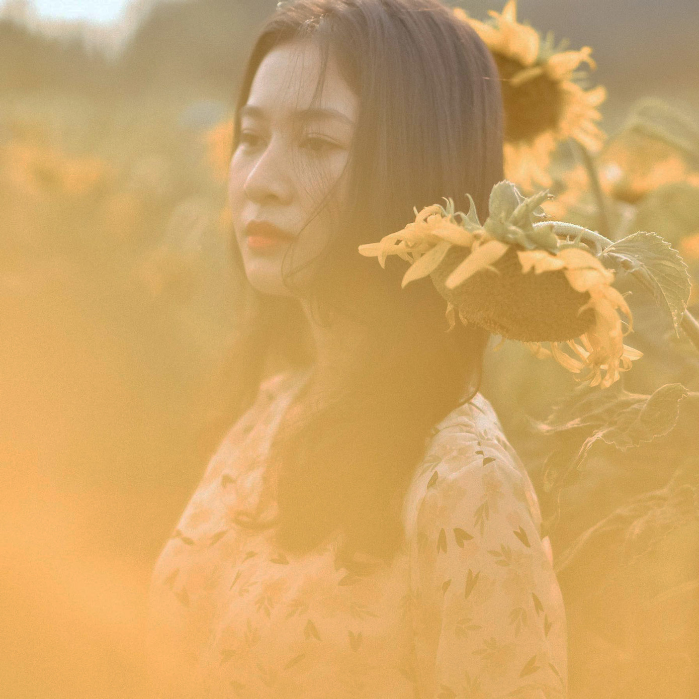 Hoa khôi ĐH Huế cực giỏi tiếng Anh, đạt 2 huy chương vàng bơi lội, mơ ước làm giáo viên ảnh 15