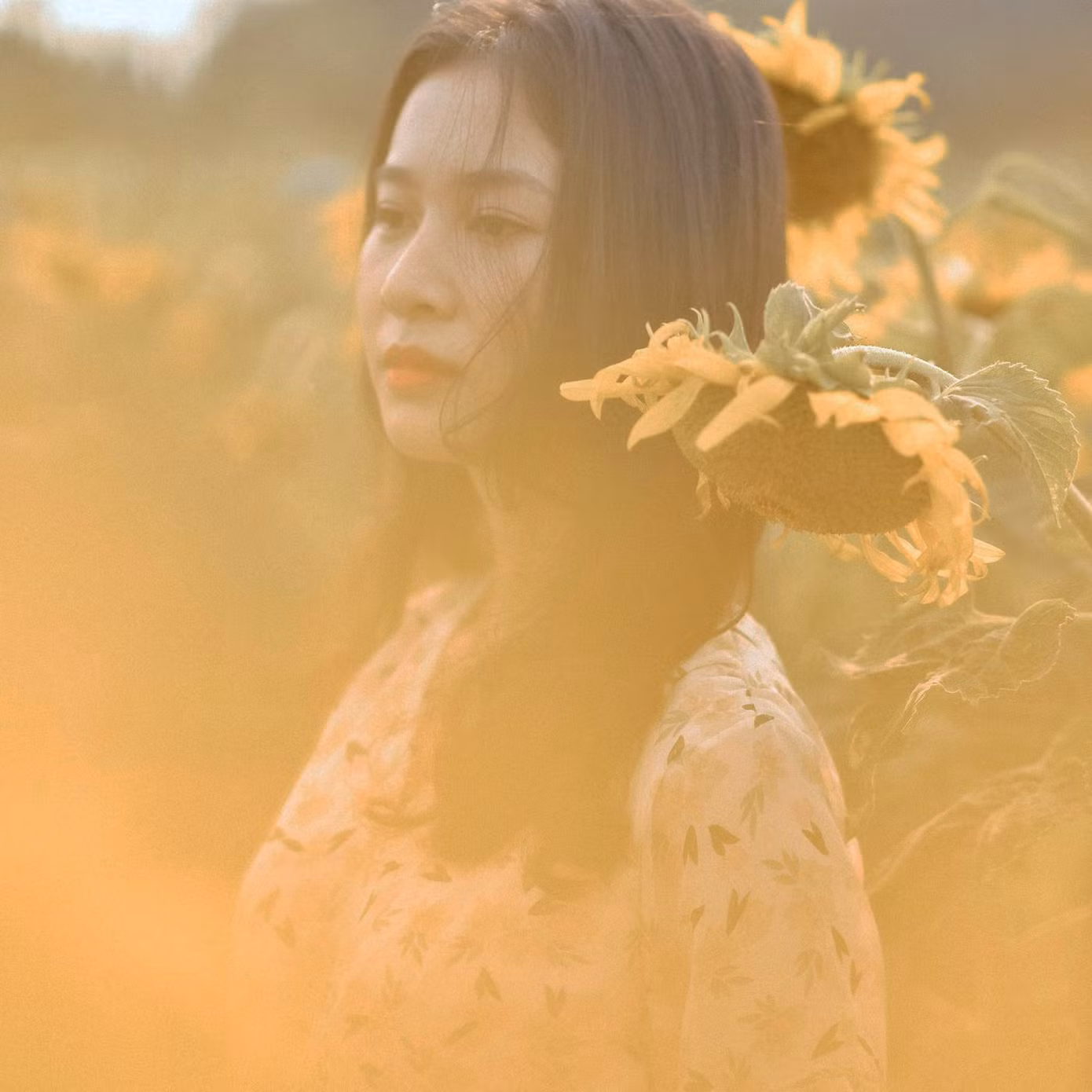 Hoa khôi ĐH Huế cực giỏi tiếng Anh, đạt 2 huy chương vàng bơi lội, mơ ước làm giáo viên ảnh 15