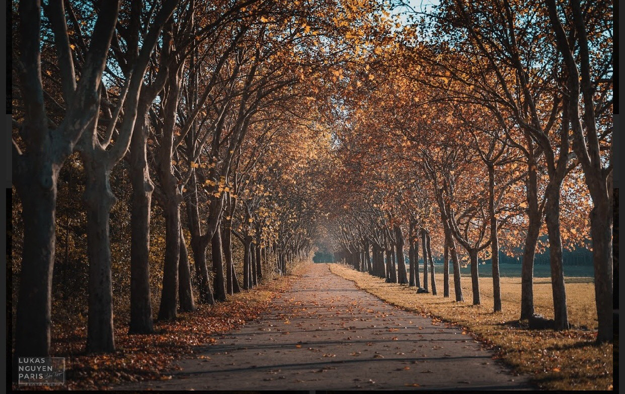 Bạn đã bao giờ nghe tới “Tour du lịch 1 giờ đồng hồ” tại Paris? ảnh 7