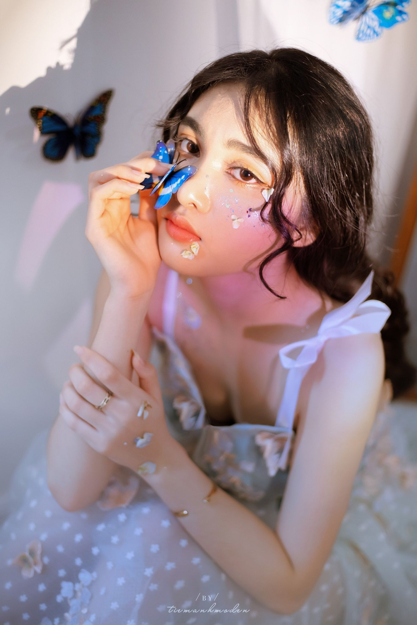 Ở Gia Lai có đi học bằng voi không? ảnh 8