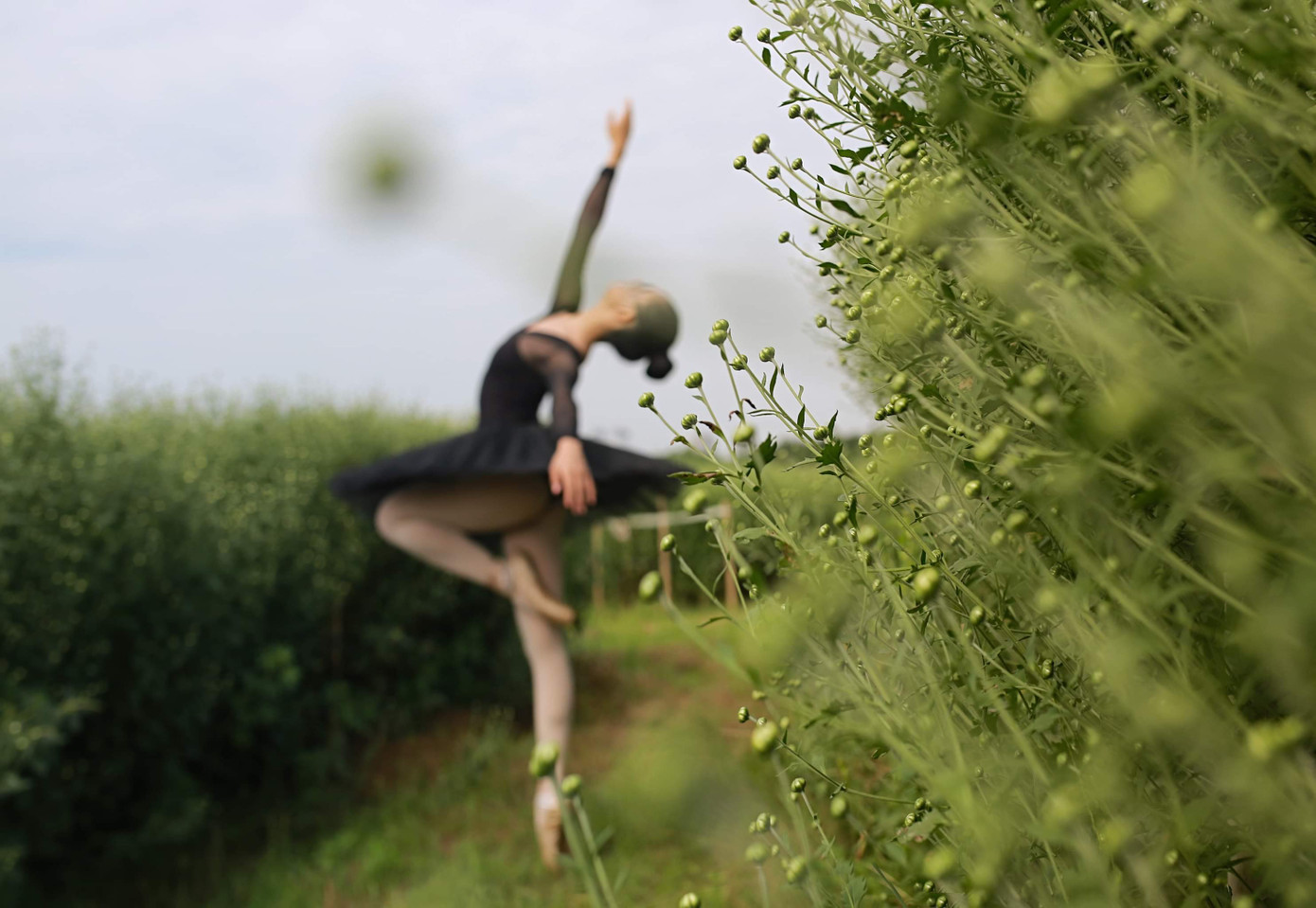 Nàng “thiên nga đen” với khát khao chạm tay tới đích ảnh 5