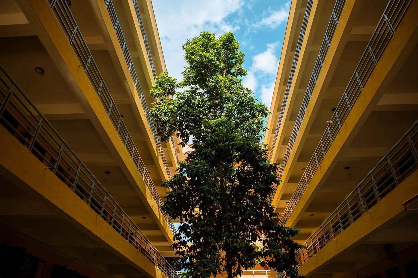 Học viện Nông nghiệp Việt Nam - nơi viết tiếp câu chuyện tuổi trẻ của bao thế hệ sinh viên ảnh 10