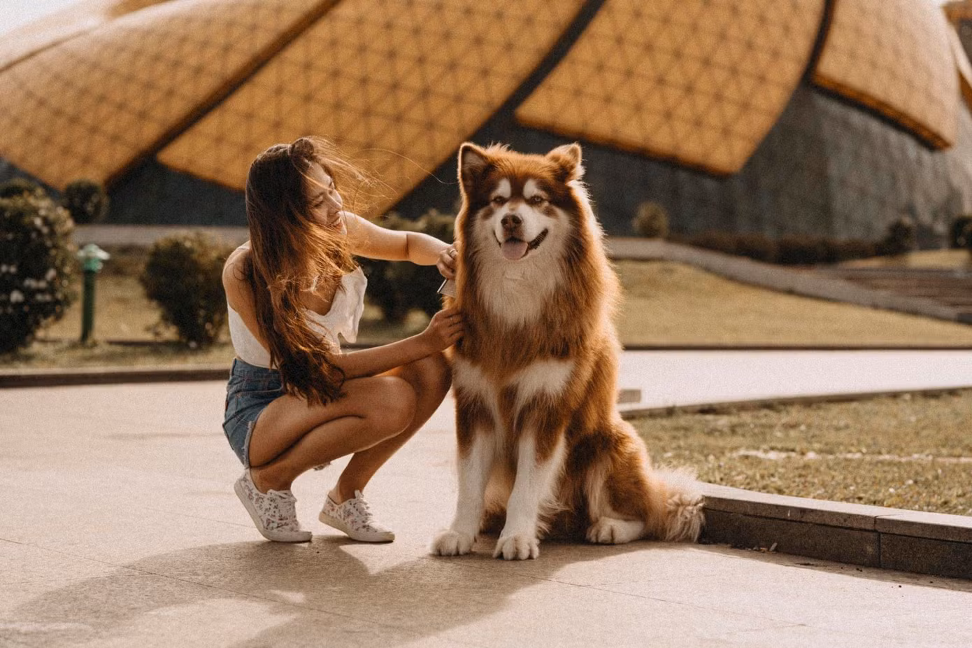 Cần gì người yêu khi chúng mình đã có nhau ảnh 9