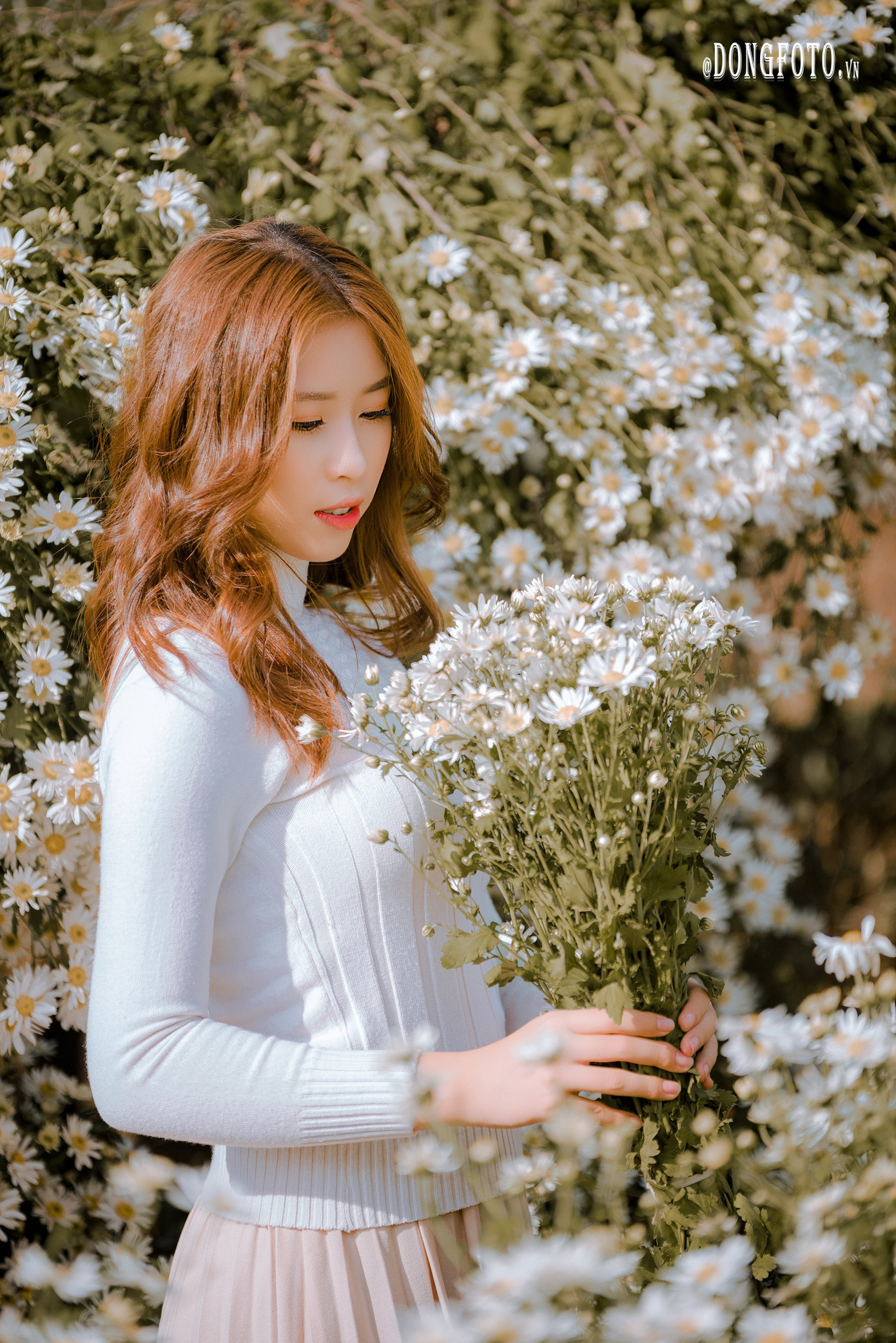 Ngẩn ngơ nét đẹp “nàng thơ” trong bộ ảnh cúc họa mi trắng ảnh 10