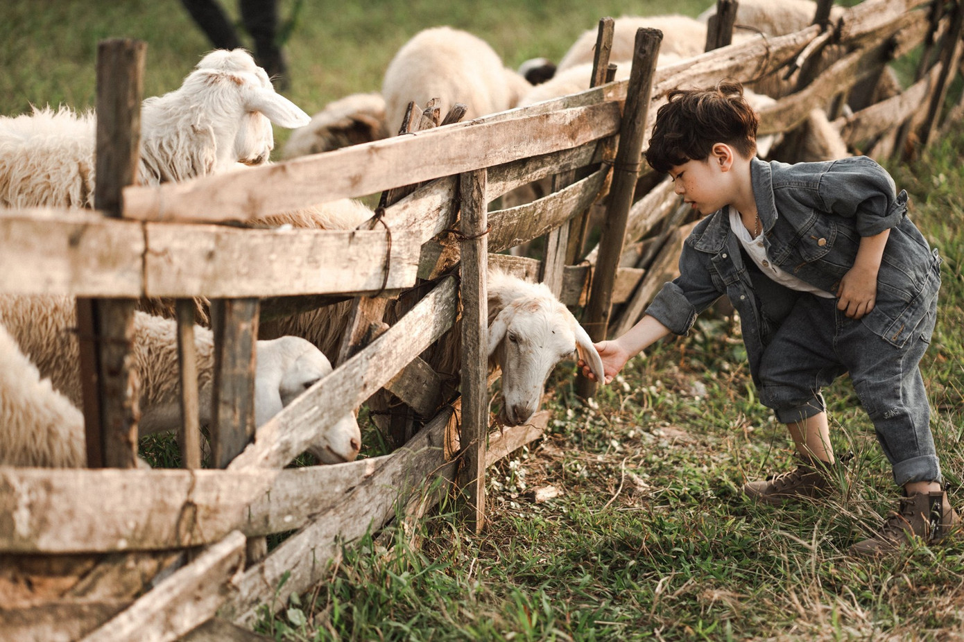 Biến hình cùng những bức ảnh “mẫu nhí” của chàng phù thủy 9X ảnh 6