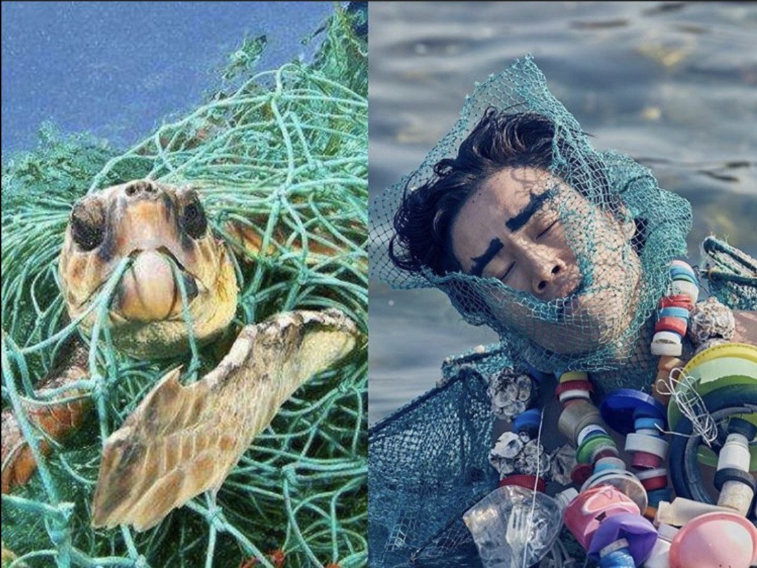 Biến rác thải thành thời trang, tái hiện nỗi đau trước khi chết của sinh vật biển ảnh 6