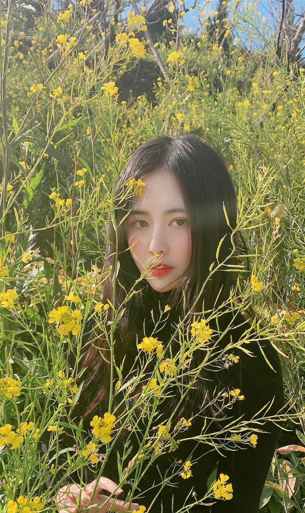 Hoài Trinh: “Đằng sau không có lấy một người, tuyệt đối phải đứng vững” ảnh 3