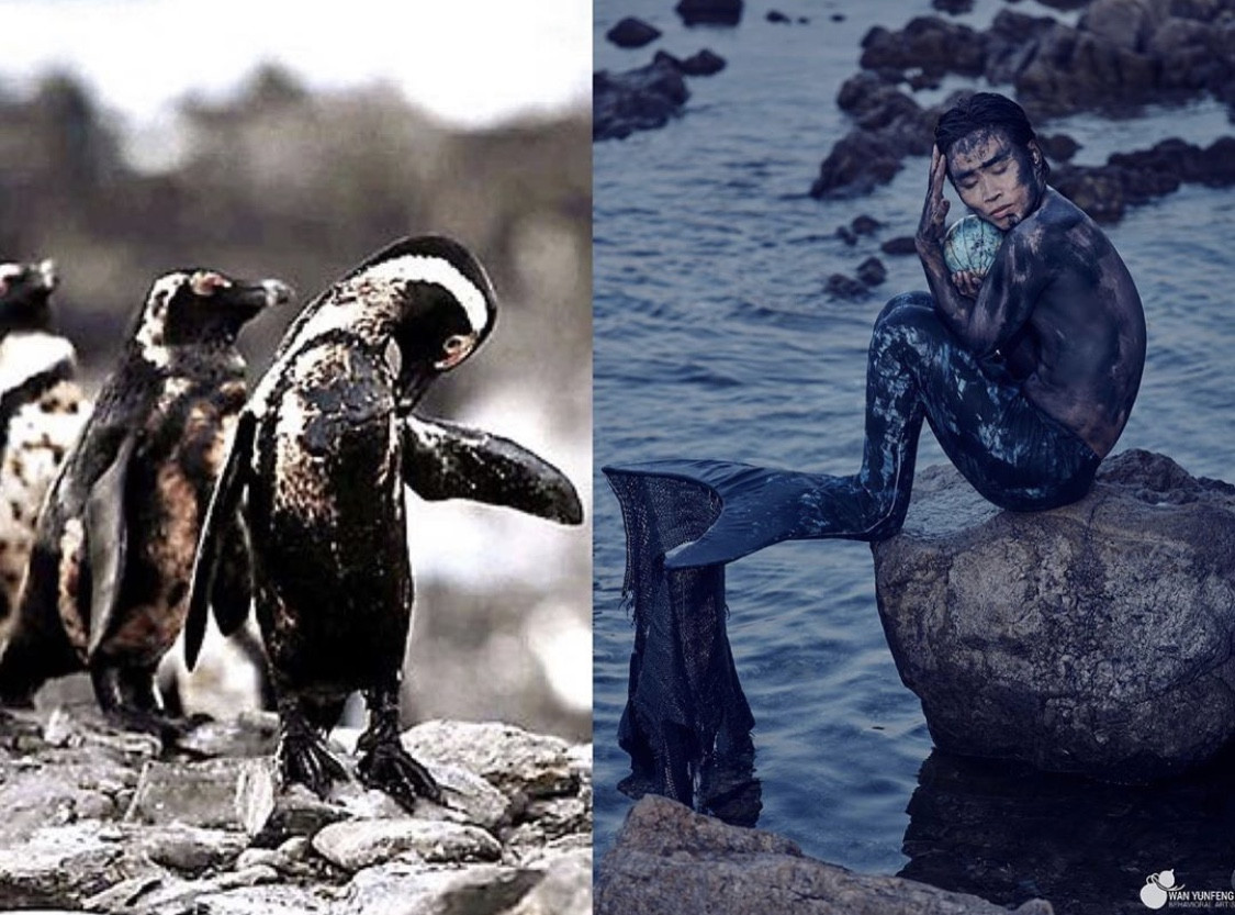 Biến rác thải thành thời trang, tái hiện nỗi đau trước khi chết của sinh vật biển ảnh 5