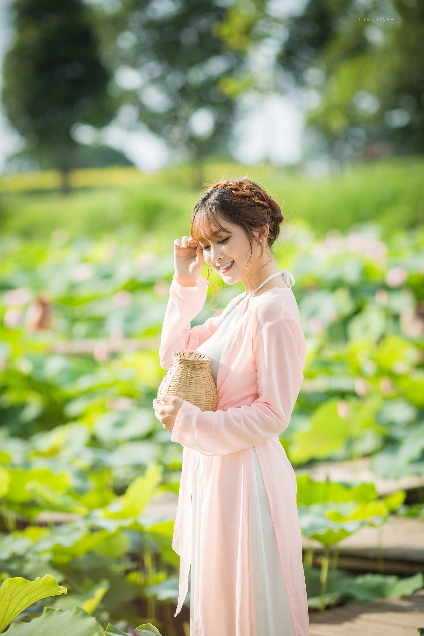 Nữ sinh Tài chính xinh đẹp trong tà áo tứ thân bên hoa sen dưới nắng Hè ảnh 5