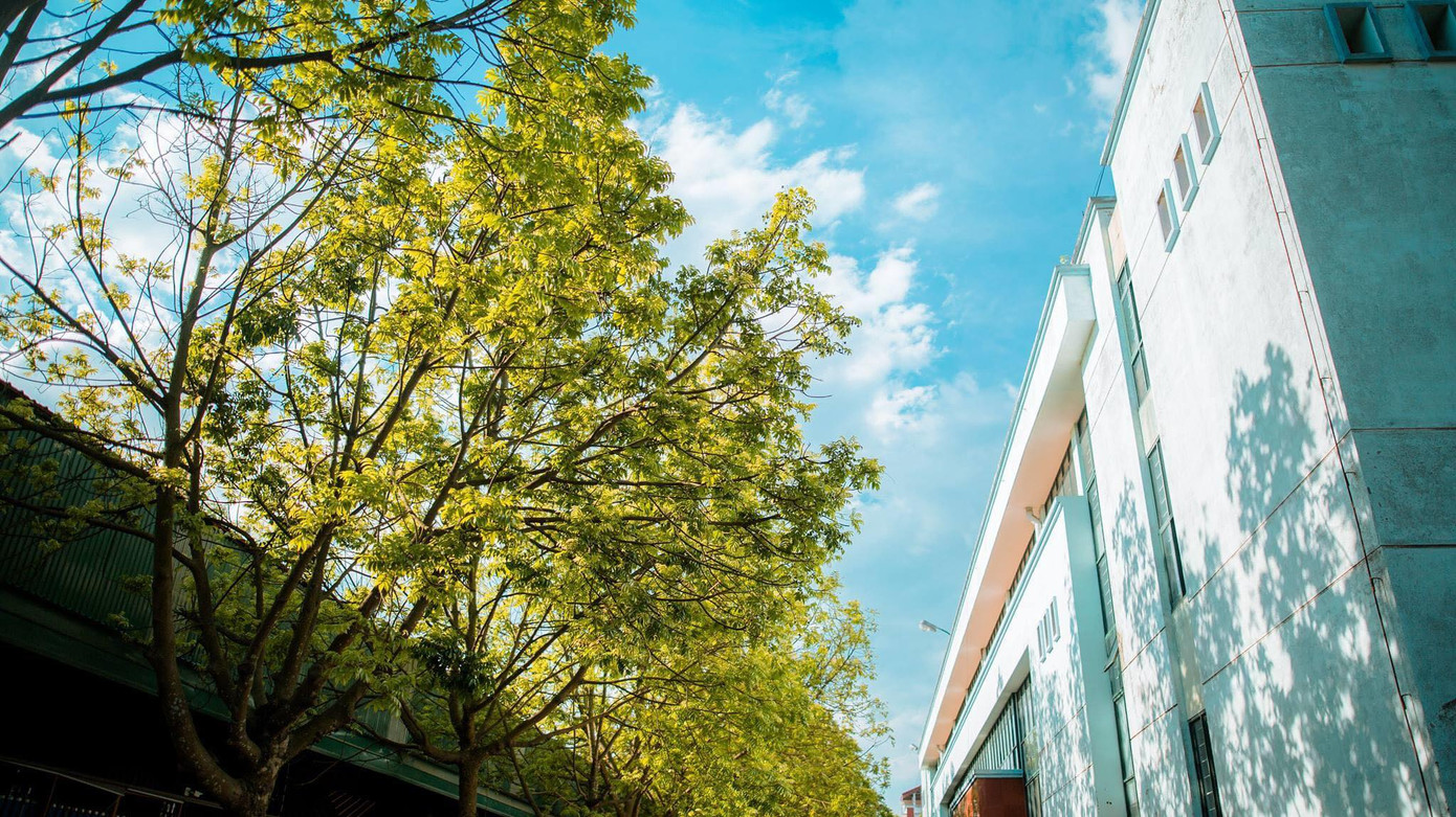 Học viện Nông nghiệp Việt Nam - nơi viết tiếp câu chuyện tuổi trẻ của bao thế hệ sinh viên ảnh 9