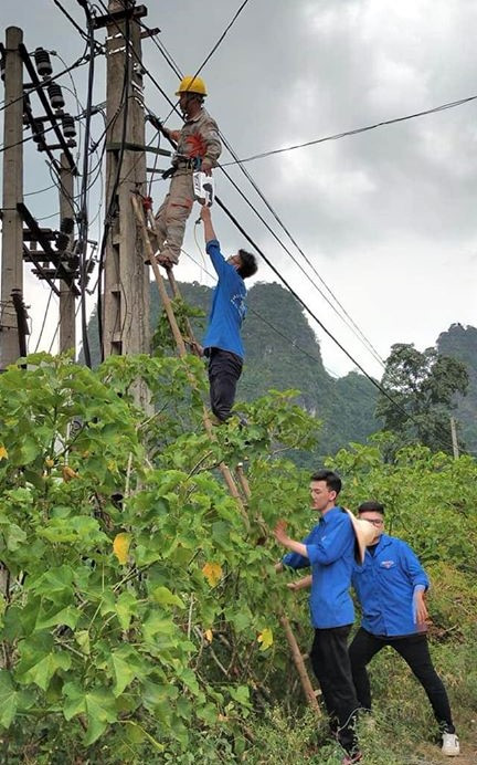 Chuyến đi “xanh” của tuổi trẻ trường Đại học Ngoại thương ảnh 6
