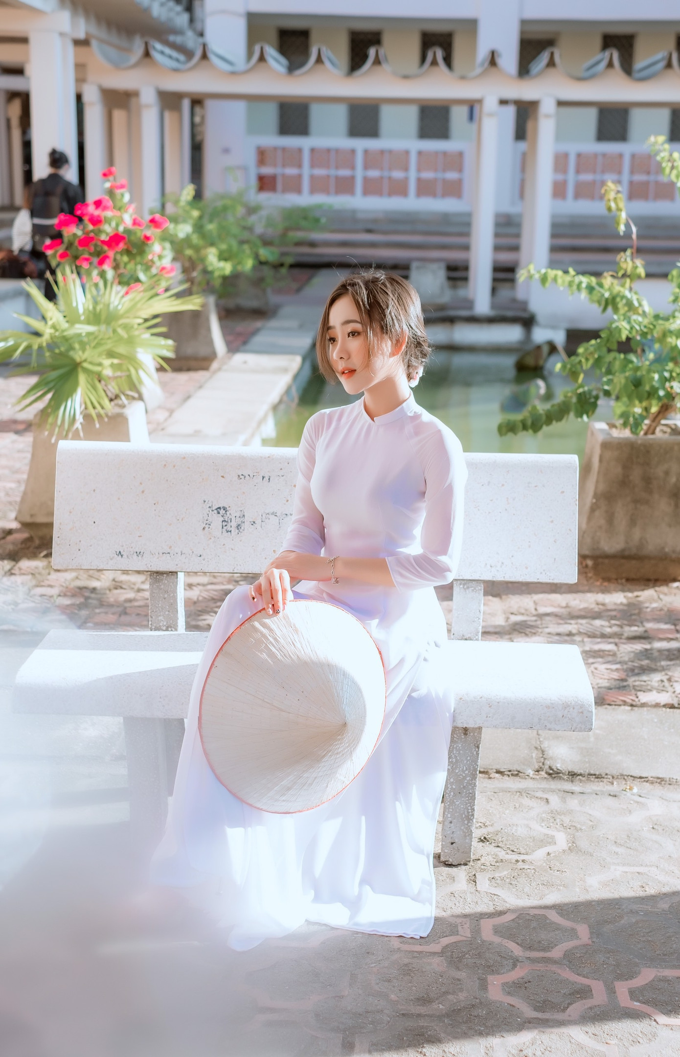 Xao xuyến trước vẻ đẹp tinh khôi của bông hồng xứ Nghệ ảnh 10