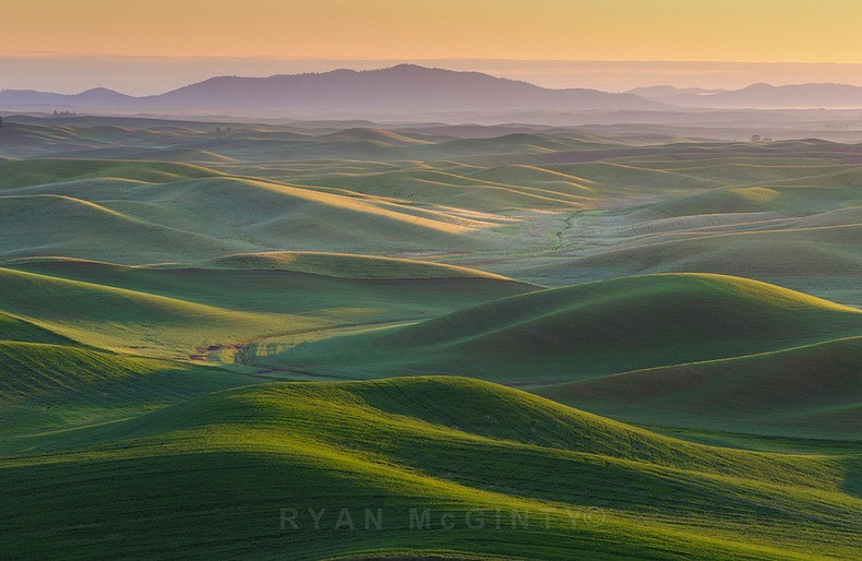 Ngắm vùng đất có những thảm cỏ đa sắc màu đẹp hơn tranh sơn mài ảnh 6