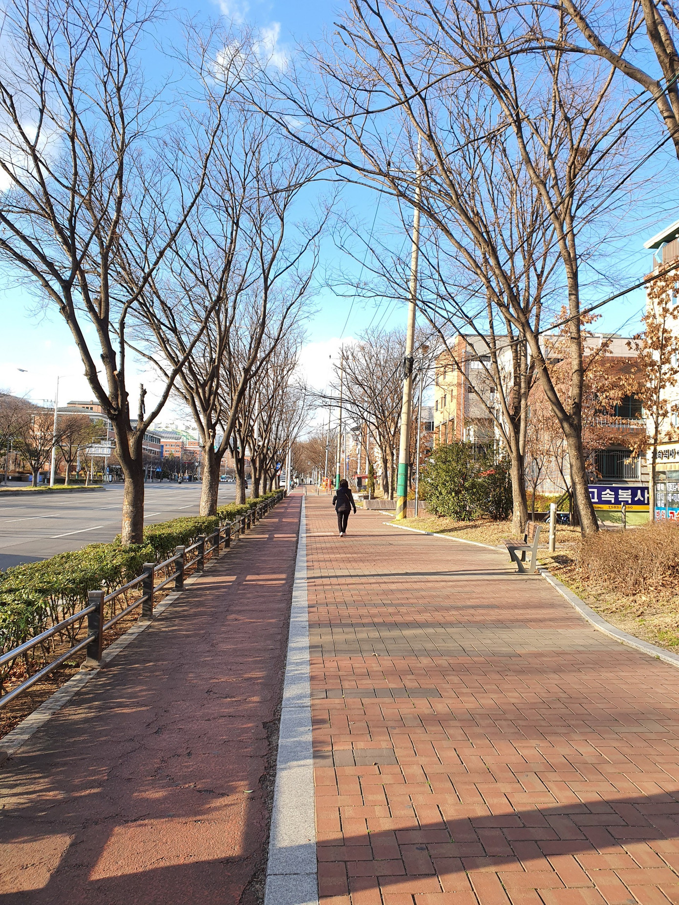 Cô gái Việt chia sẻ cuộc sống hiện tại ở tâm dịch Daegu Hàn Quốc ảnh 5