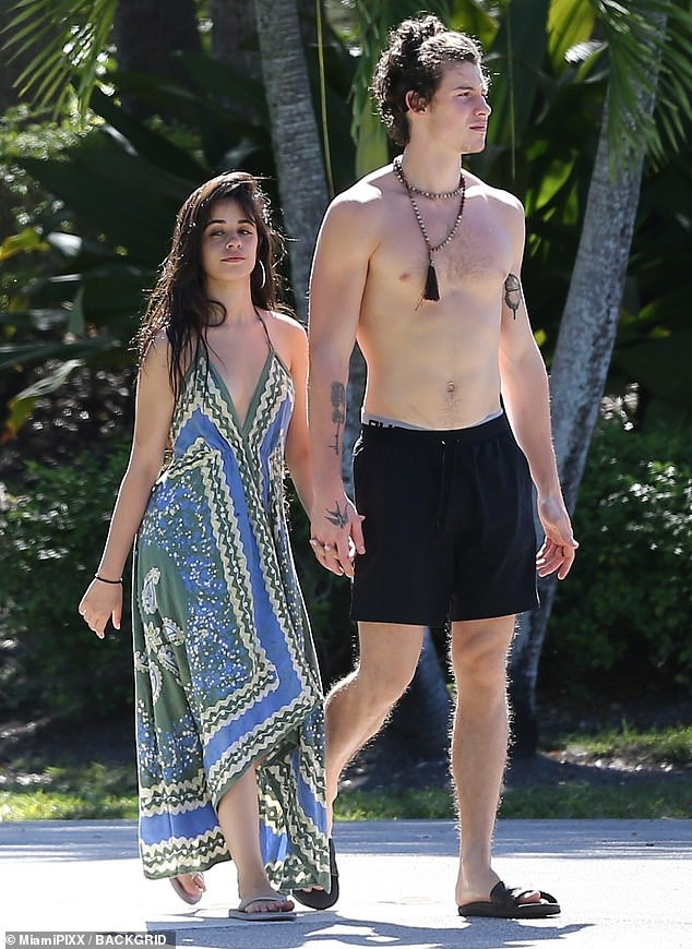 Camila Cabello và bạn trai Shawn Mendes hôn nhau say đắm ở Miami ảnh 3