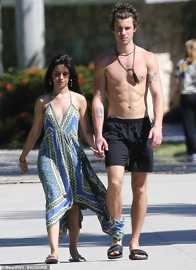 Camila Cabello và bạn trai Shawn Mendes hôn nhau say đắm ở Miami ảnh 1