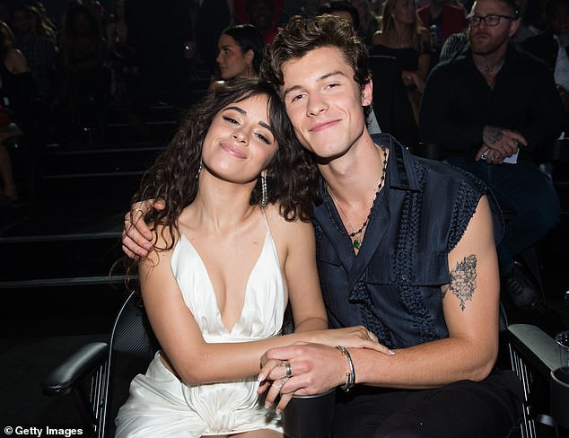 Camila Cabello và bạn trai Shawn Mendes hôn nhau say đắm ở Miami ảnh 4