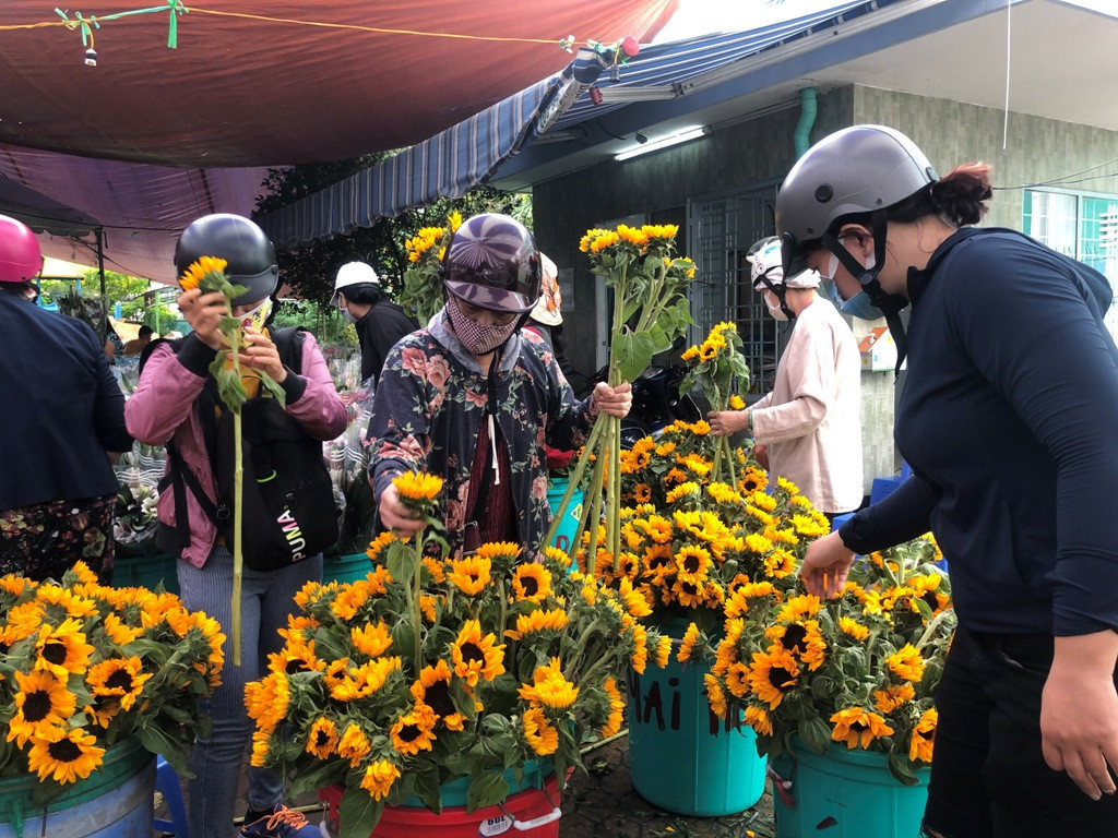 Đường phố, làng xóm miền Trung trang hoàng đẹp như cổ tích trước giao thừa ảnh 7