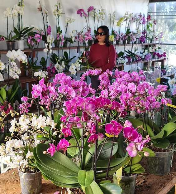 Đón Tết Việt nơi xứ người ảnh 10