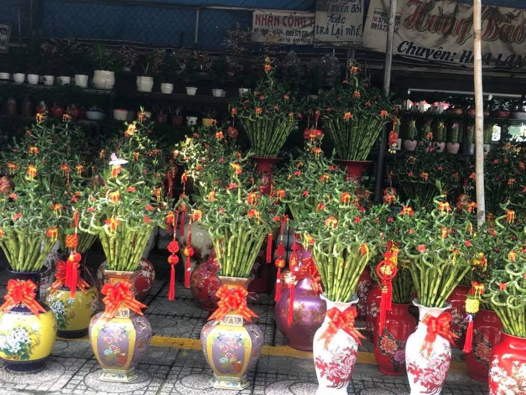 Vào mùa hoa tết, tiểu thương TPHCM 'vừa bán vừa thăm dò' ảnh 4