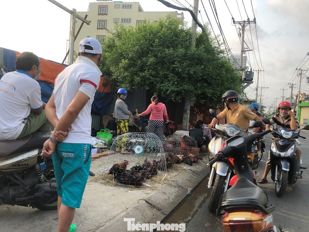 Sáng mùng 3 Tết, dân Sài Gòn xếp hàng vào siêu thị mua gà cúng ảnh 7