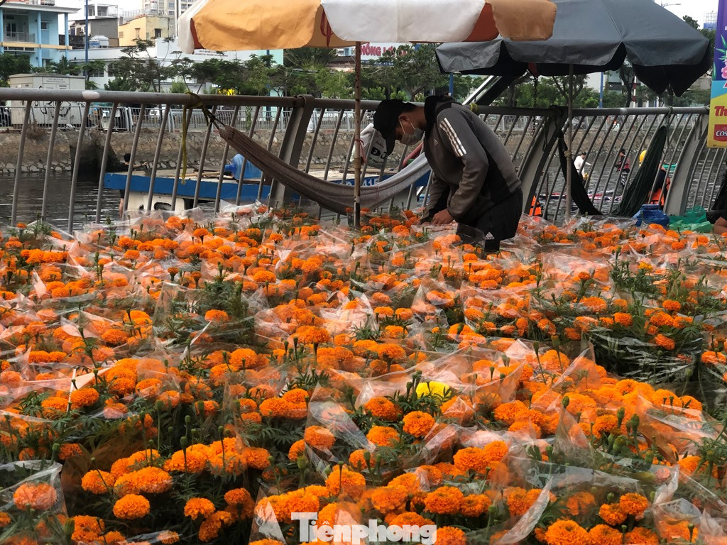 Chèo thuyền SUP lướt sông Sài Gòn đi chợ hoa Tết ảnh 7