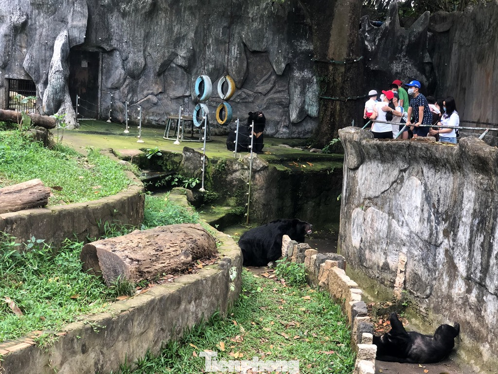 Du khách thích mê khi được vào chuồng ôm thú cho ăn ảnh 13