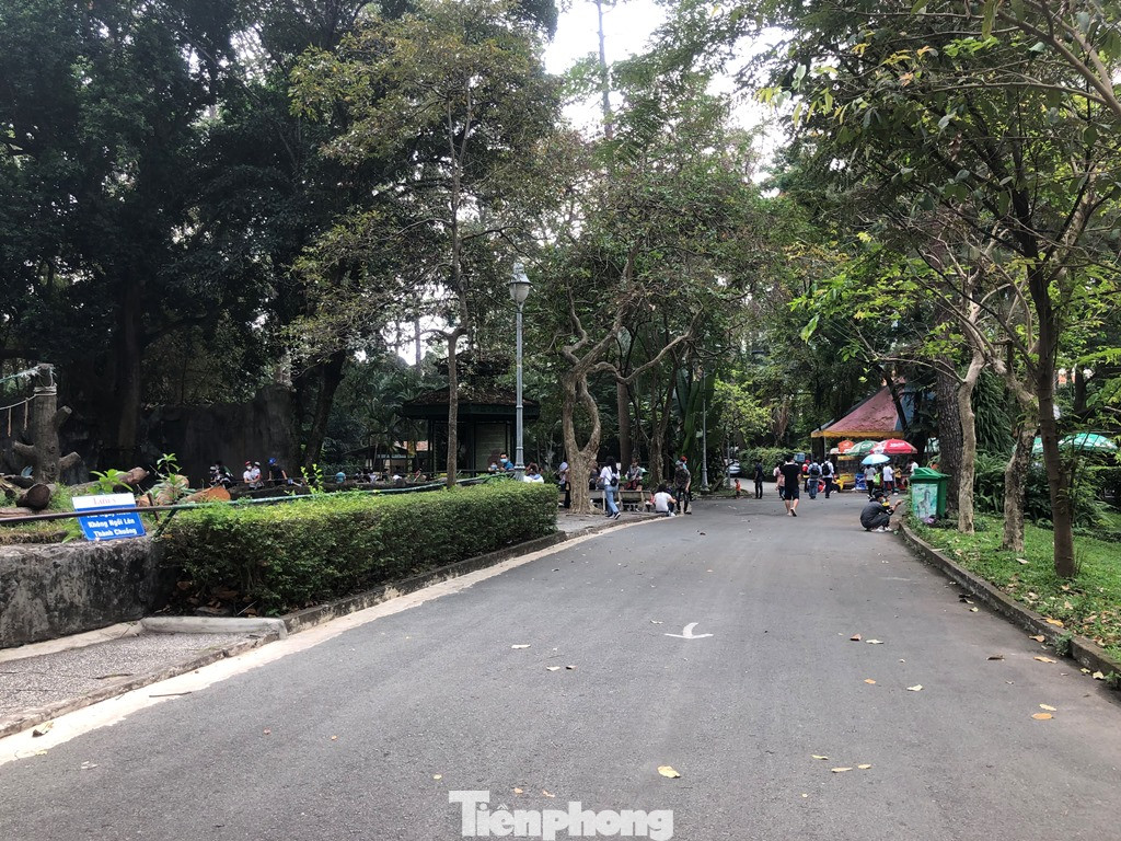 Du khách thích mê khi được vào chuồng ôm thú cho ăn ảnh 4