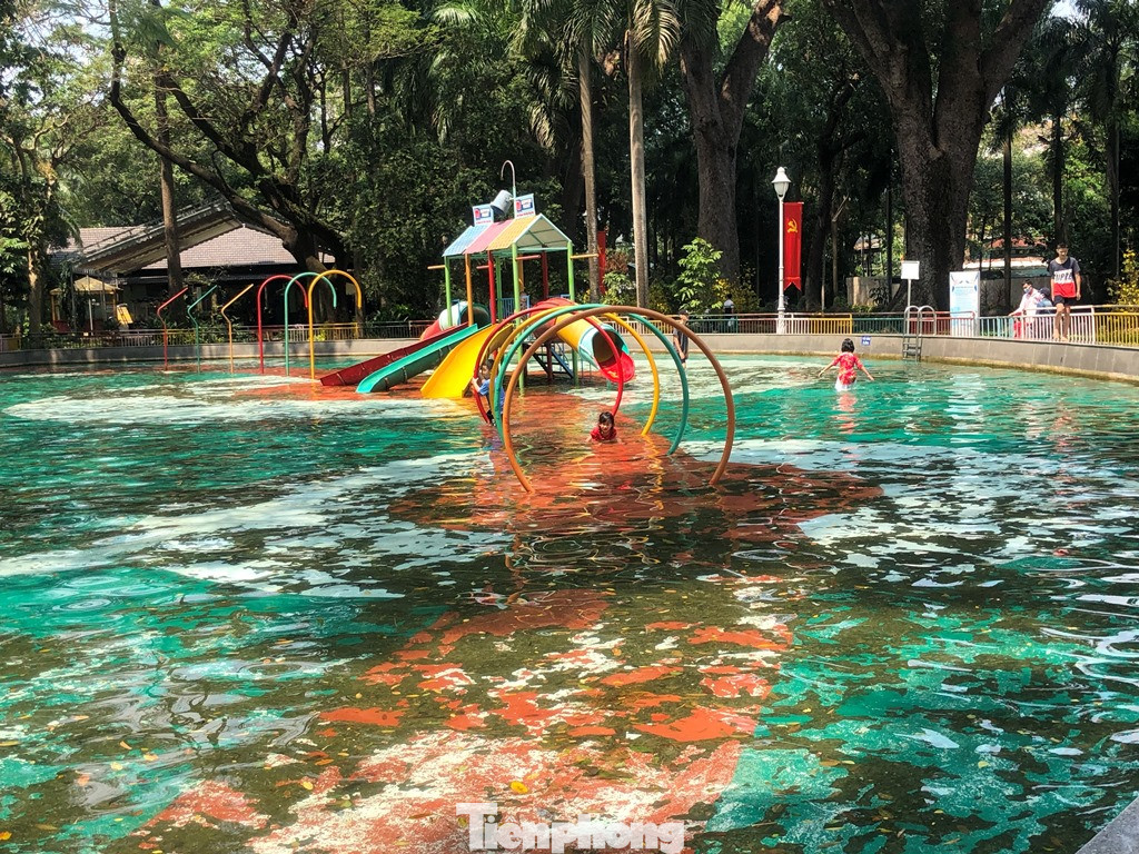 Du khách thích mê khi được vào chuồng ôm thú cho ăn ảnh 16