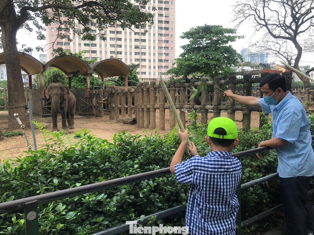 Du khách thích mê khi được vào chuồng ôm thú cho ăn ảnh 6