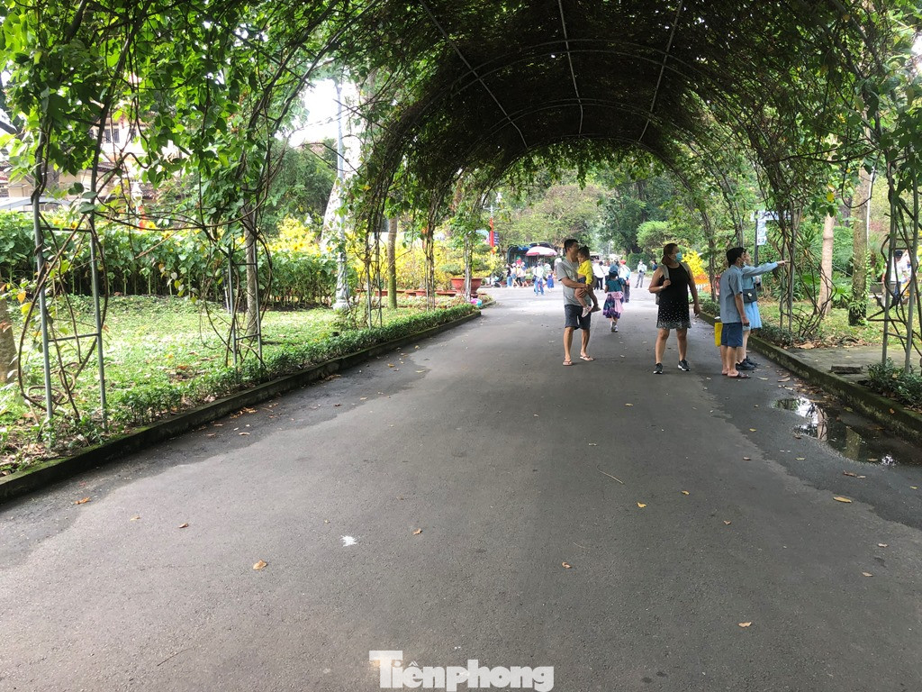 Du khách thích mê khi được vào chuồng ôm thú cho ăn ảnh 17