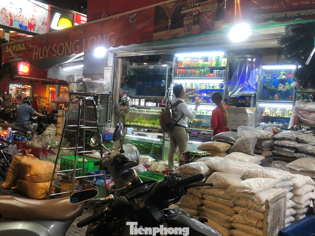 Tối muộn, người TPHCM tranh thủ mua cá chép cúng ông Táo ảnh 3