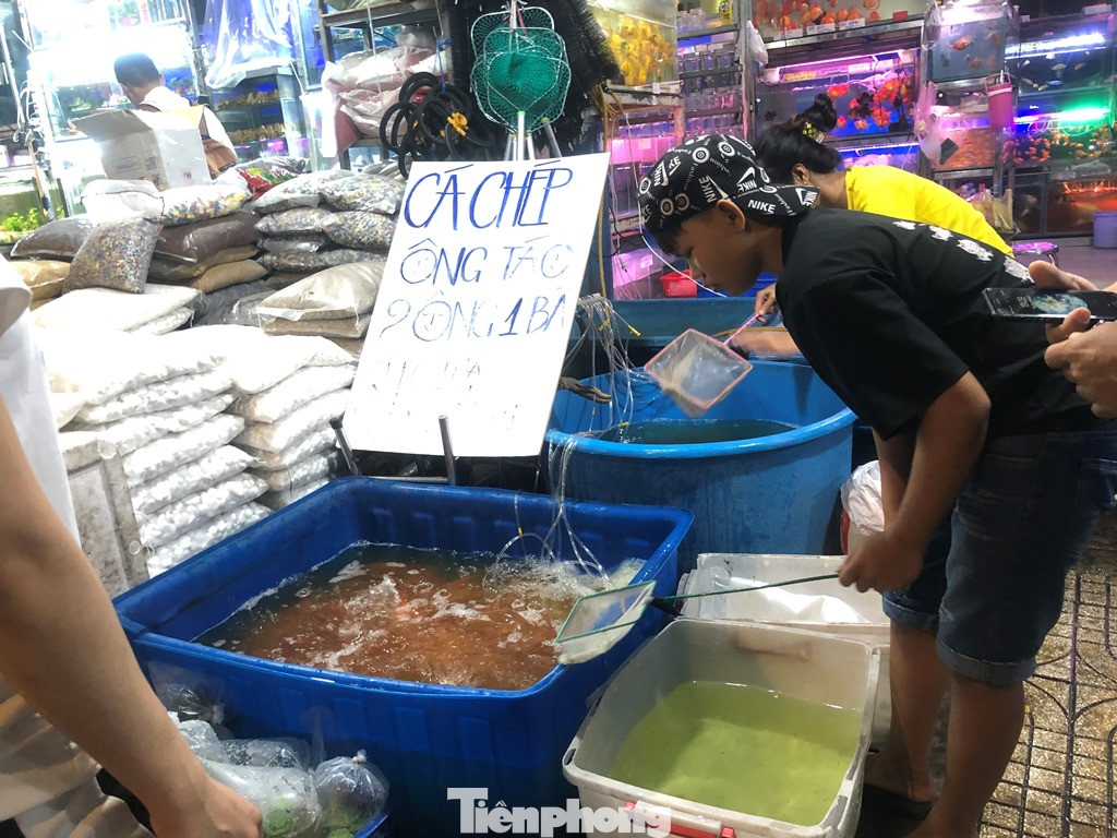 Tối muộn, người TPHCM tranh thủ mua cá chép cúng ông Táo ảnh 2