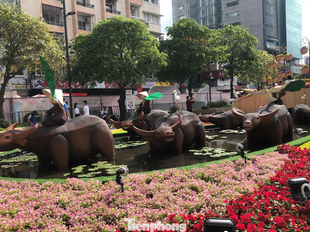 Đi chơi đường hoa Nguyễn Huệ, khách vẫn 'canh me' mở khẩu trang tạo dáng ảnh 11