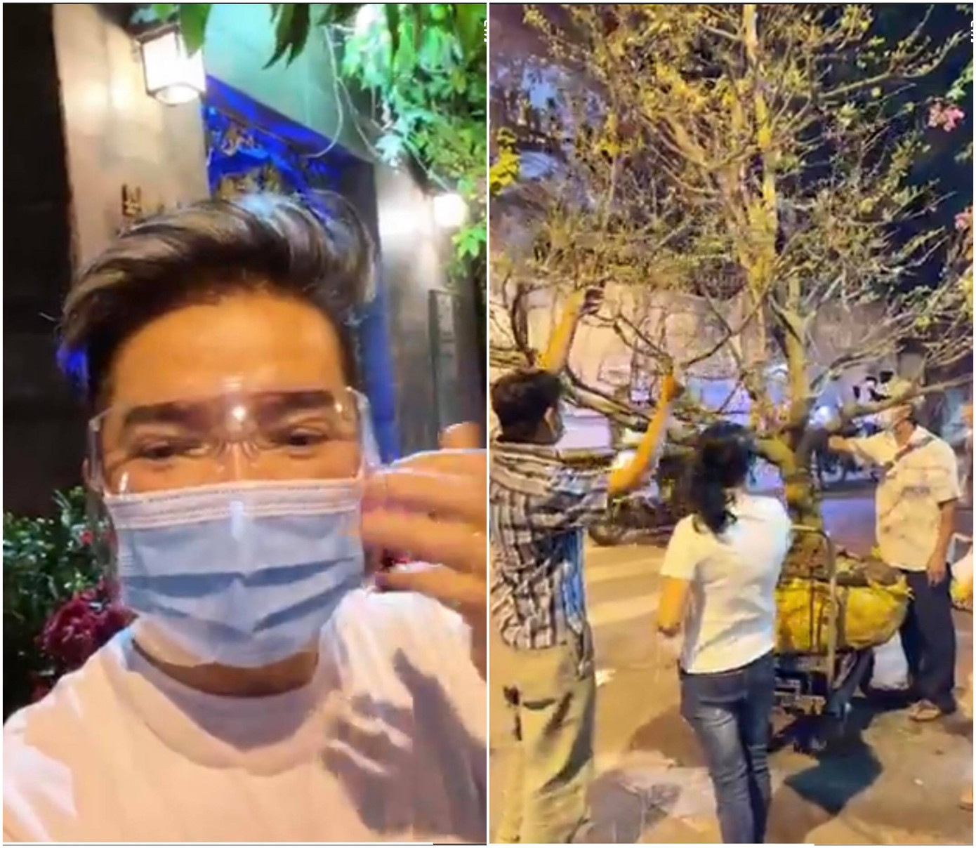 Đàm Vĩnh Hưng được fan chơi lớn tặng cây mai cao 5 mét, trị giá hàng trăm triệu đồng ảnh 1